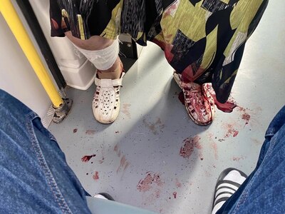 Don't Trust Stray Dogs