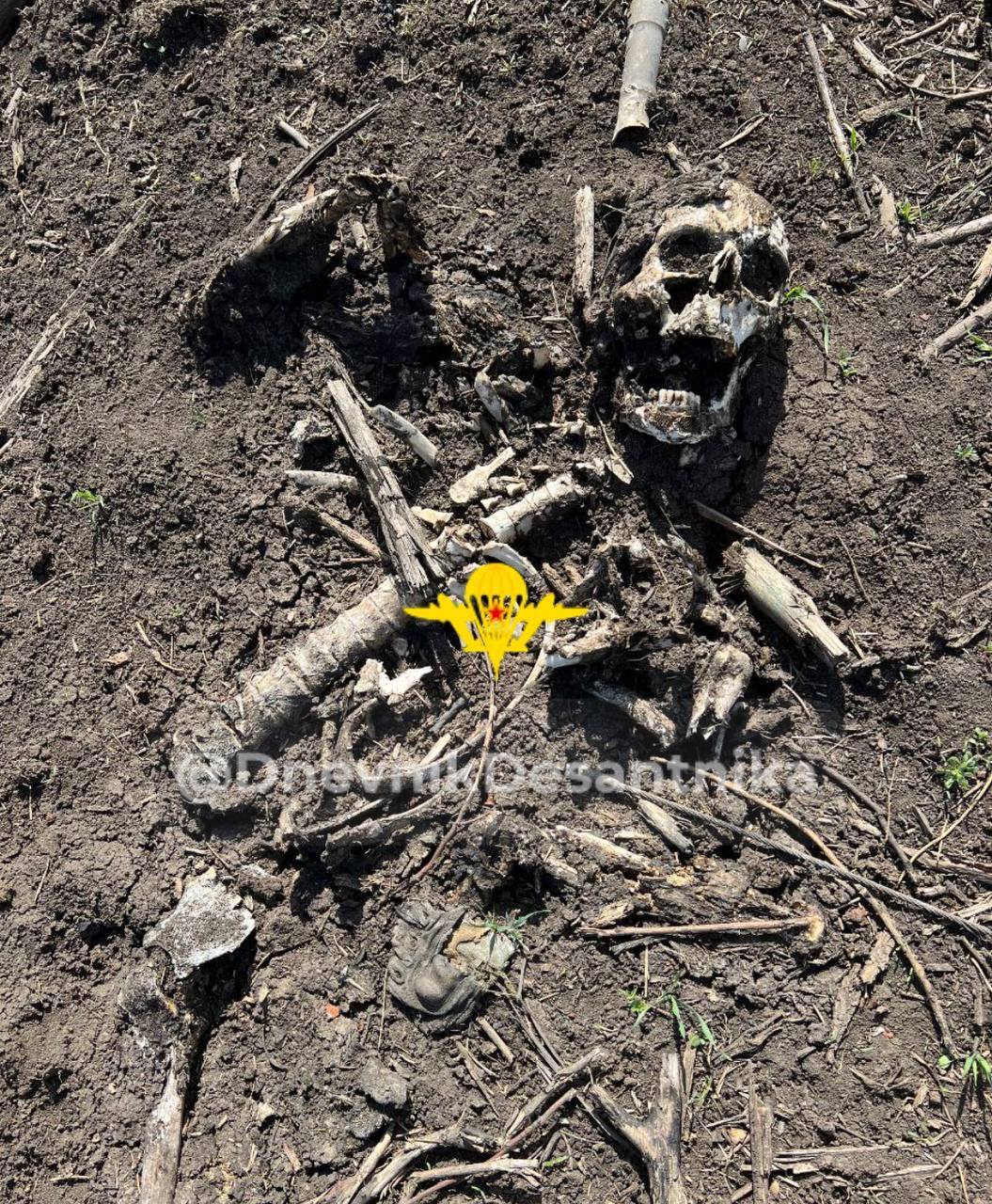Ukrainians in an advanced state of decomposition.
