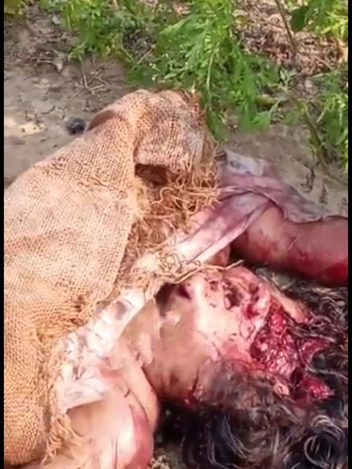 Indian female crushed by train