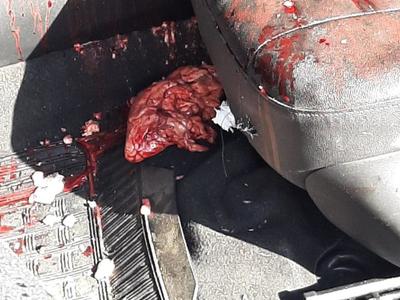 BraHello Kitty and Twenty Years drug dealers are killed in SÃ£o GonÃ§alo