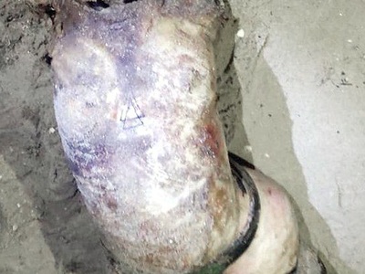 DRUG RUNNER EX-BOYFRIEND SHOWED HER NO MERCY