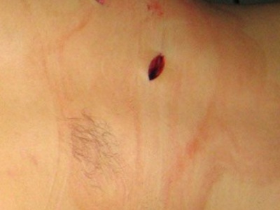 Angry husband fatally stabbed his wife after argument 