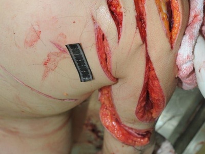 Two innocent looking Chinese sisters gored by psycho with sword 