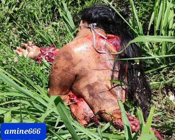 Couple horrifically killed in brutal accident wife split in half