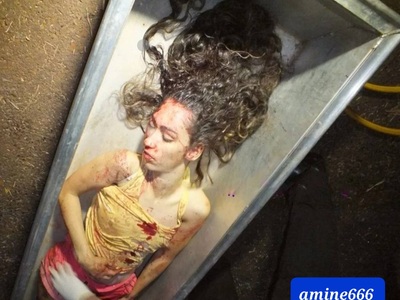 Tranny Giving Blowjob Dies in Horrific Crash