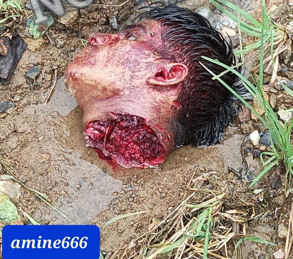 Decapitated head of gang member found in forest