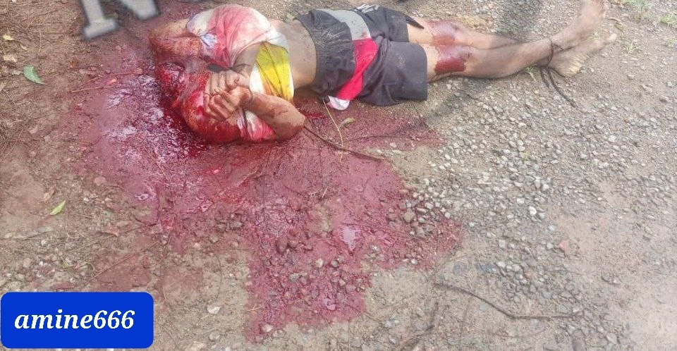 Decapitated head of gang member found in forest