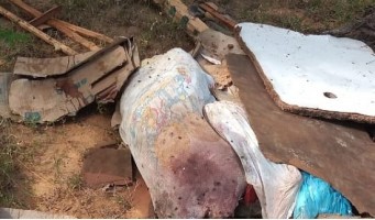 The police locate the dismembered body in Cabrobó, Brazil