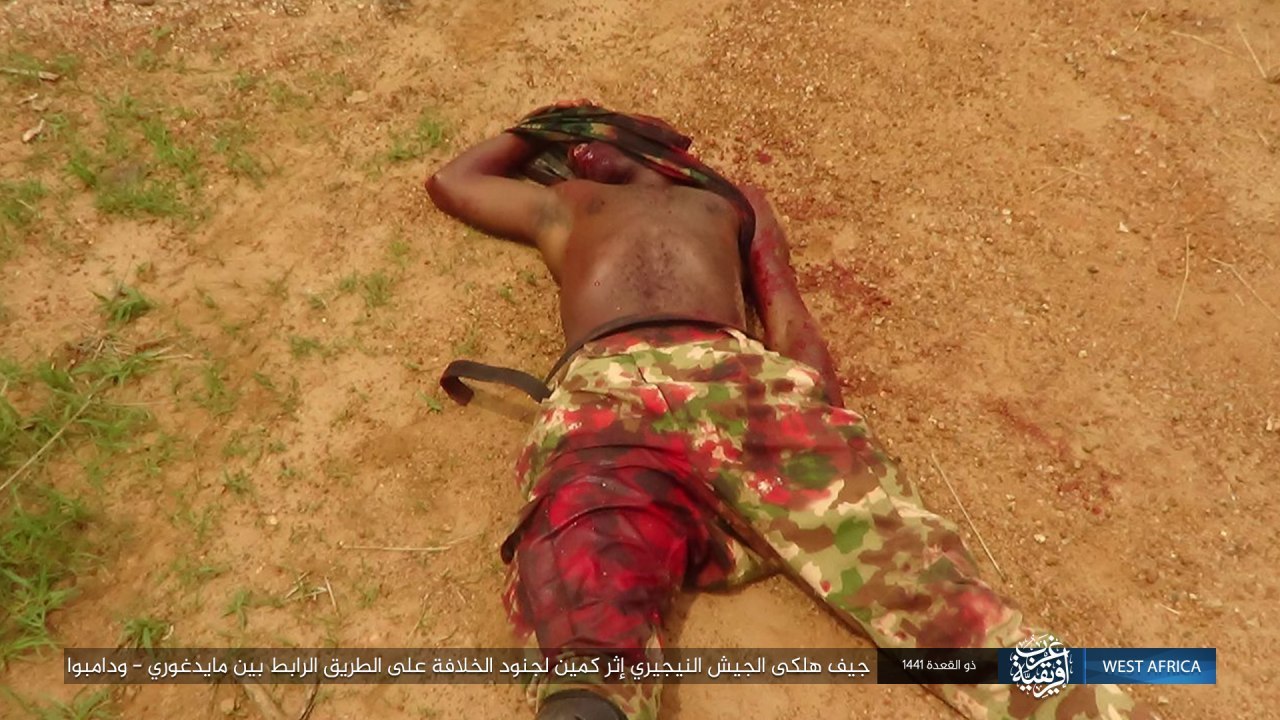 ambush of the caliphate soldiers in a convoy of nigerian army vehicles (Pictures)