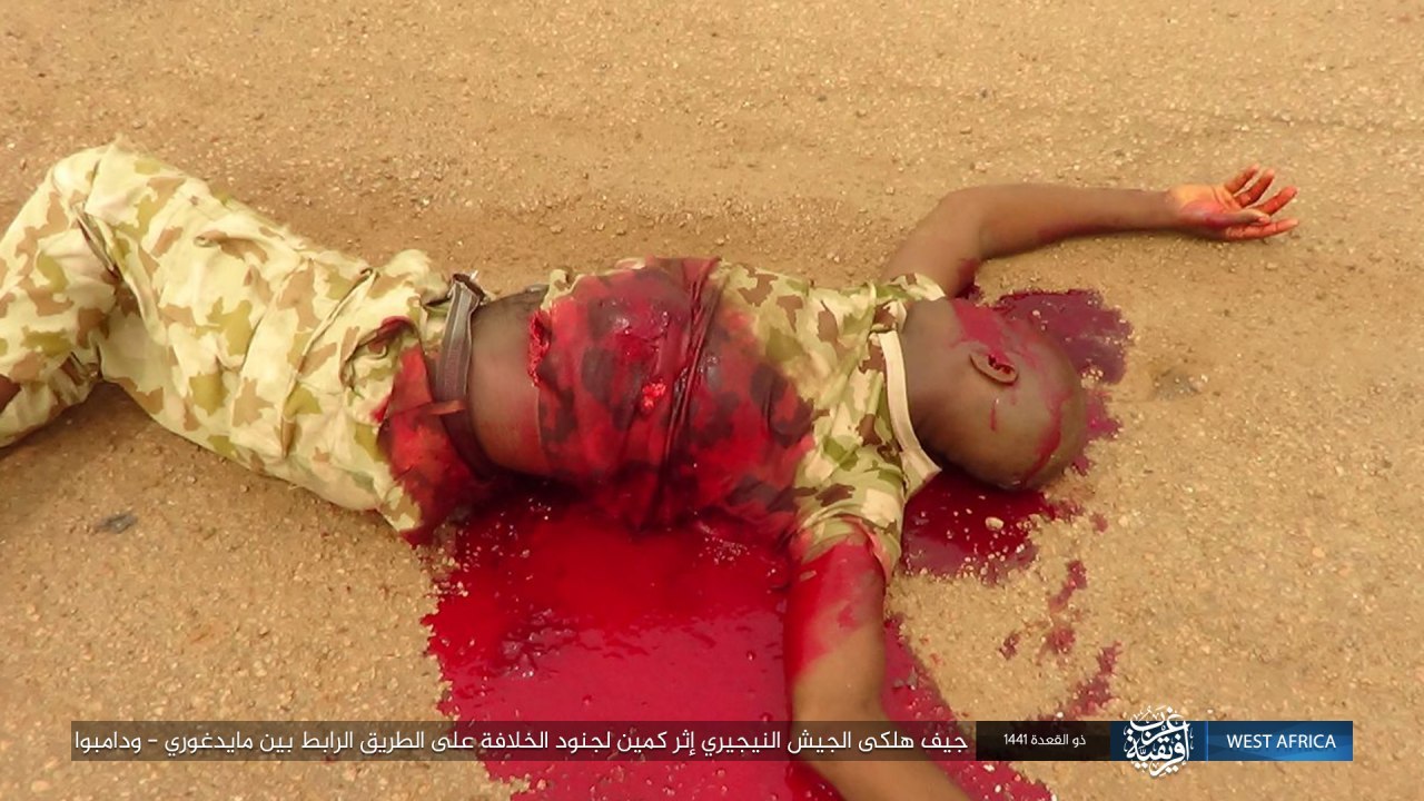 ambush of the caliphate soldiers in a convoy of nigerian army vehicles (Pictures)