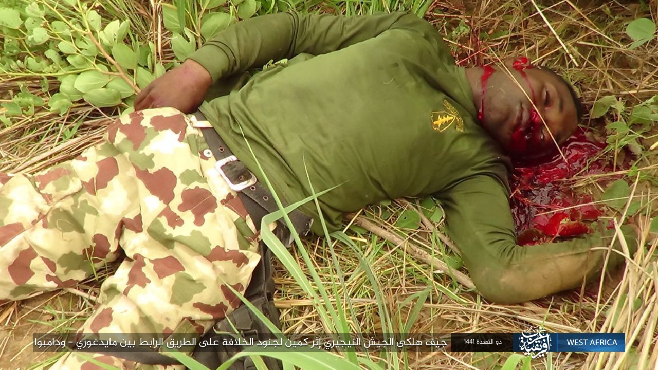 ambush of the caliphate soldiers in a convoy of nigerian army vehicles (Pictures)