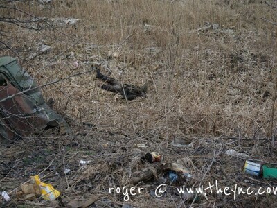 Uploaded by:Roger_From_England