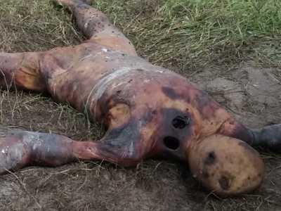 Corpse with burns and brutalized