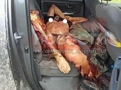 Terrible: the effects of a bear attack