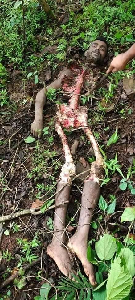 Man Becomes Snack for a Tiger (Pictures)