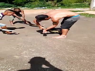  man attacked by snake