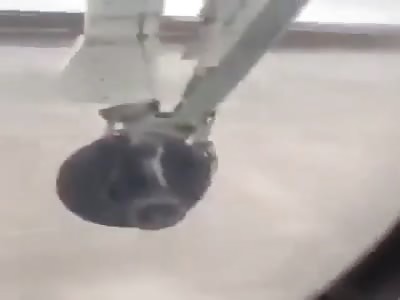 Letâ€™s Just Pretend We Didnâ€™t See Anythingâ€¦