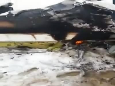 First news: Airliner crashed east of Afghanistan on Monday 27.01.2020