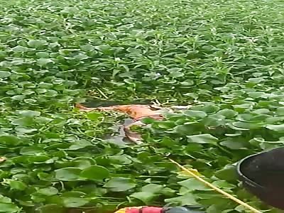 Death man founds in the lake 