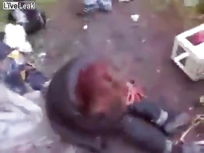 These Boyz dont Give a FCK! 