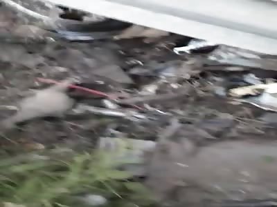 Victim of terrible accident 