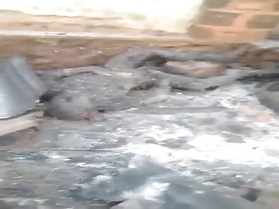 victim of war in camaron 