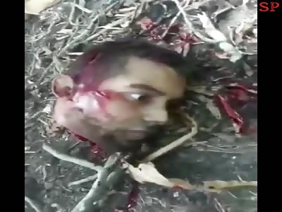 Beheading Compilation.