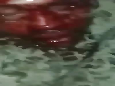 rival gang head exposed 