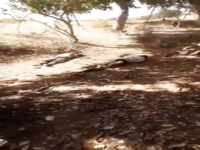 Normal Day in Cartel Land