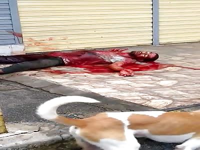 Man Dying in Pool of Blood from Stabs