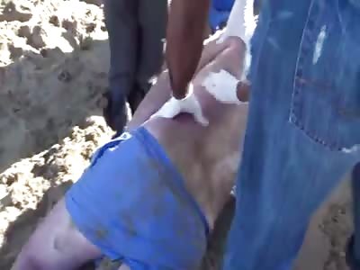 Fat bear laying drowned at the beach 