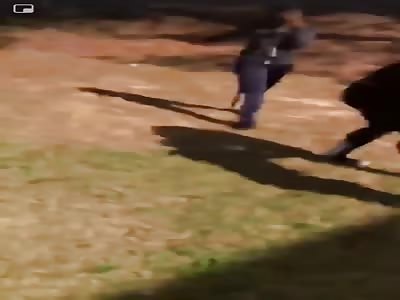 s destroying your property