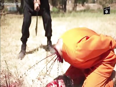 Death 'n' shit compilation 3