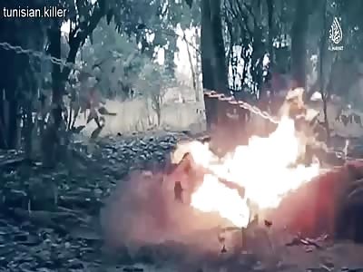 Death 'n' shit compilation 9