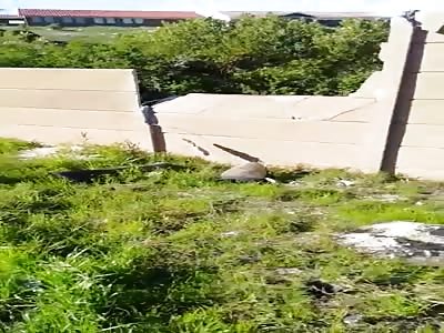 Motorbike accident - decapitation