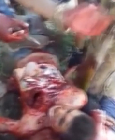 THIS WEEK IN BRUTALITY {COMPILATION}