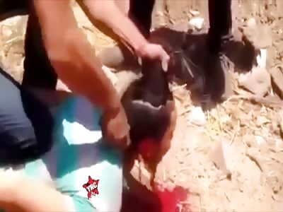 Gang life, compilation.