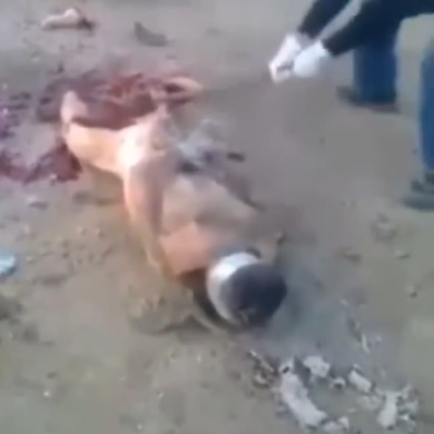 Don't fucking play with these guys ( compilation )