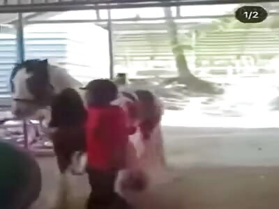 Horse Almost Fuck Him