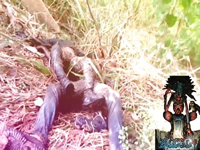 Decomposed bodies found in Nigeria