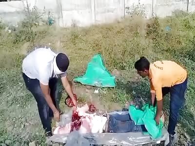 Decapitated On The Tracks.