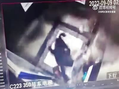 Woman And Her Dog In Elevator