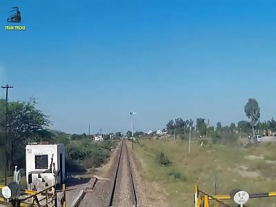 Pakistan railways, train hit cow.