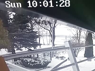 Toddler Goes Out The Rear Window