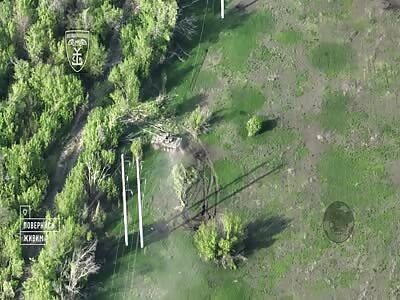 Welcome to Ukraine, SUKA2