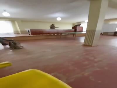 Go fight for putin yourself