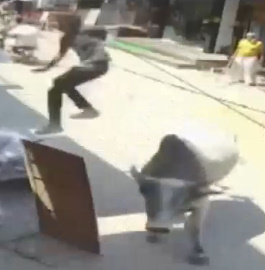 Bull Attacks From Behind In India