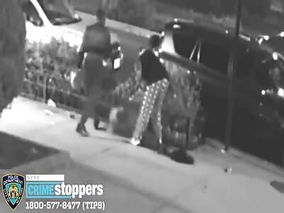 Woman thrown against planter, beaten unconscious in NYC mugging