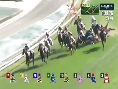 Jockeys trampled and horses killed in horrific racing accident