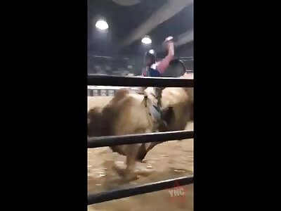 I'm flying to the stars